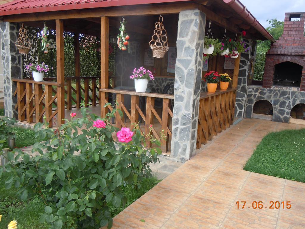 Pensiunea Marina Câmpina Exteriér fotografie