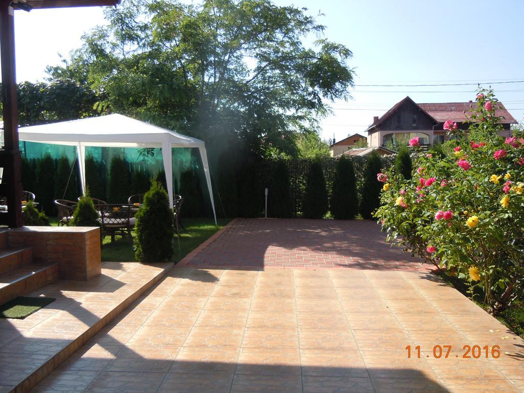 Pensiunea Marina Câmpina Exteriér fotografie